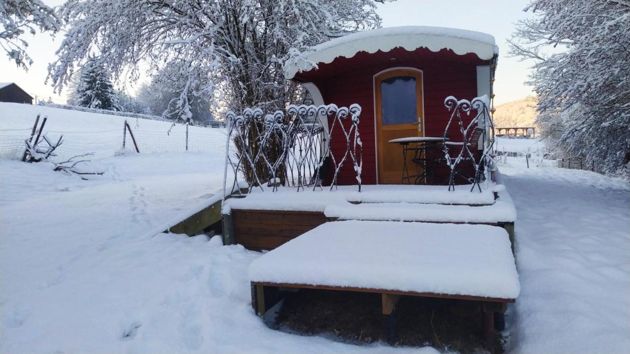 La Tiny House De La Bergerie Villa Lierneux Buitenkant foto