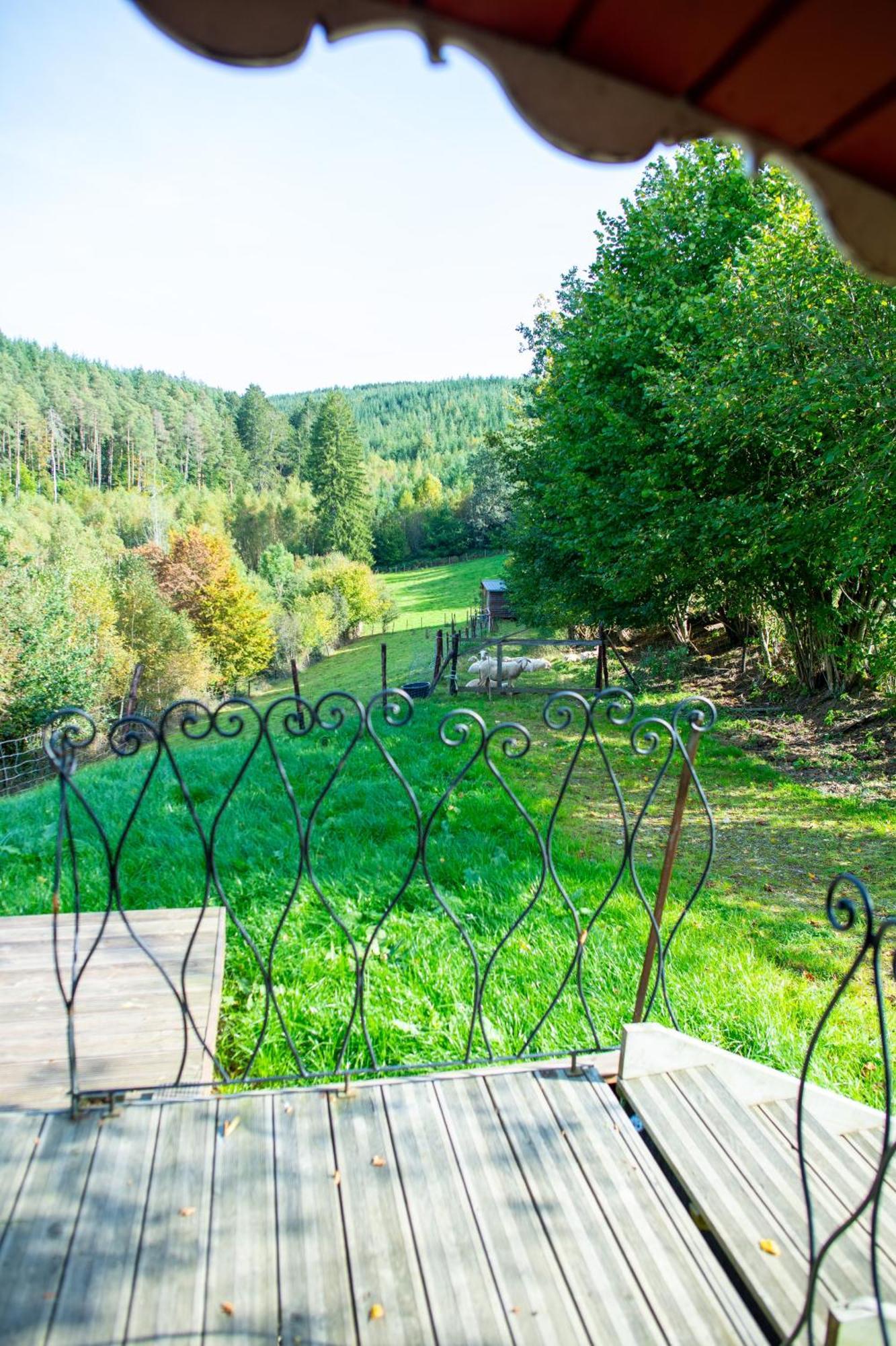 La Tiny House De La Bergerie Villa Lierneux Buitenkant foto